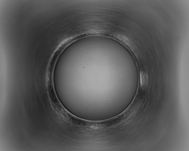 X0000088380579200705221055