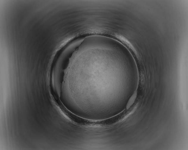 X0000088380581200705221055