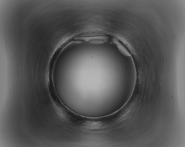 X0000088380582200705221055