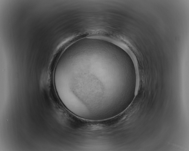 X0000088380583200705221055