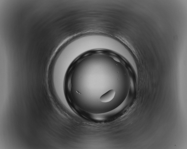 X0000088380584200705221055