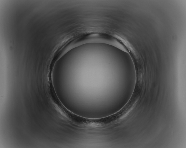 X0000088380585200705221055