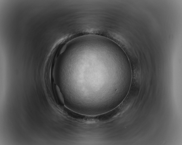 X0000088380587200705221055