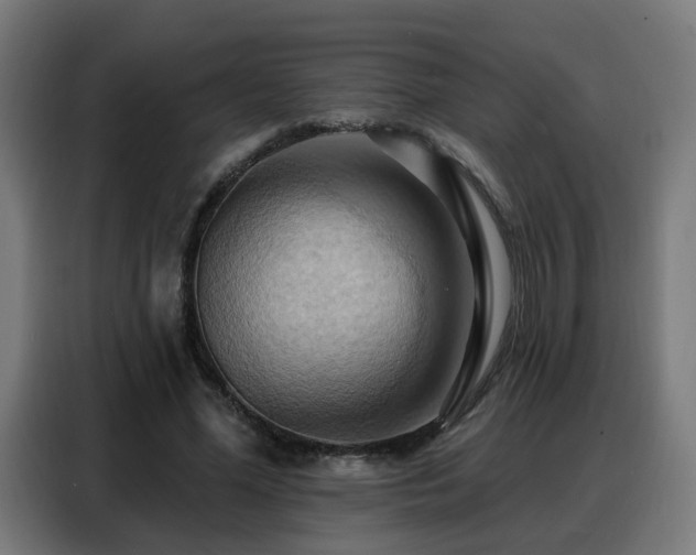 X0000088380588200705221055