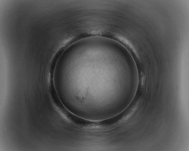 X0000088380589200705221055