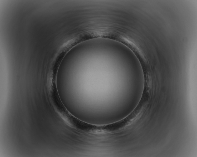 X0000088380590200705221055