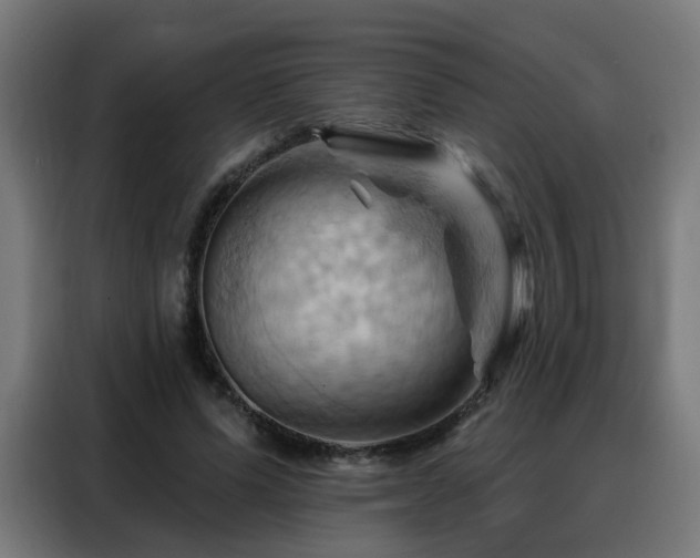 X0000088380591200705221055