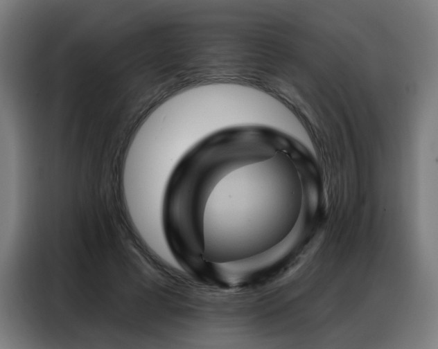 X0000088380593200705221055