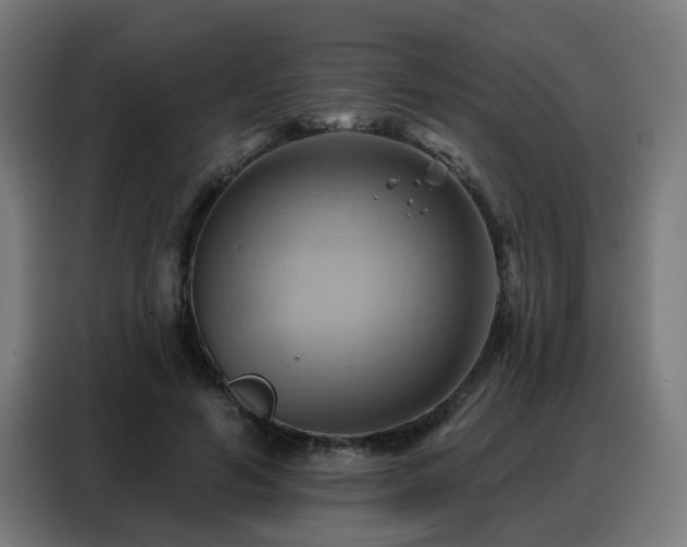 X0000088380594200705221055