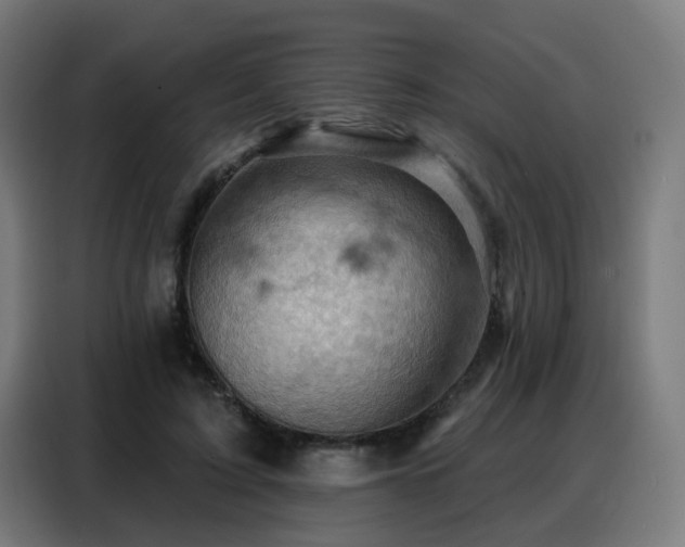 X0000088380595200705221055