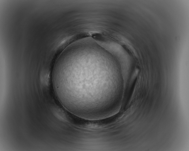 X0000088380596200705221055