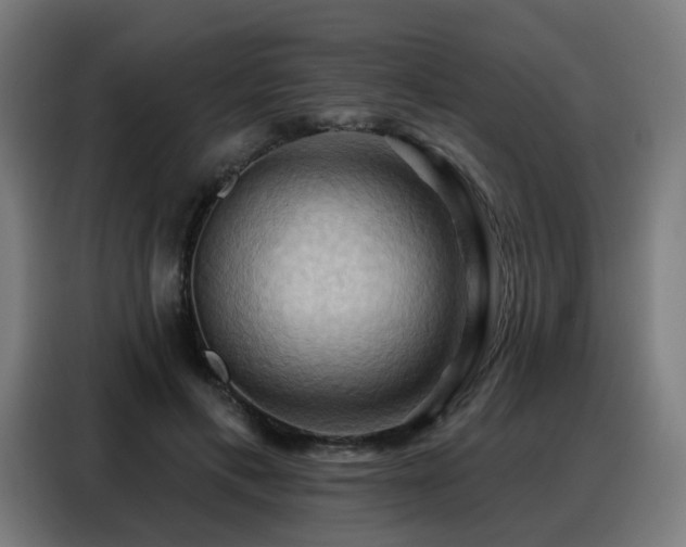 X0000088380597200705221055