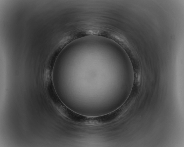 X0000088380598200705221055
