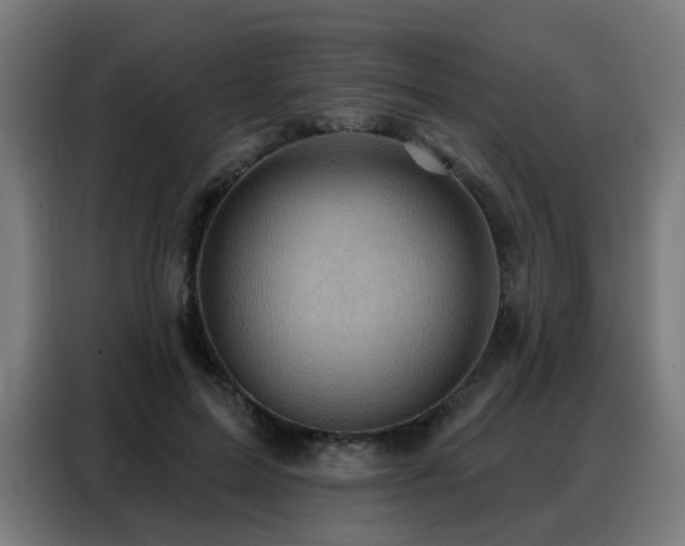 X0000088380599200705221055