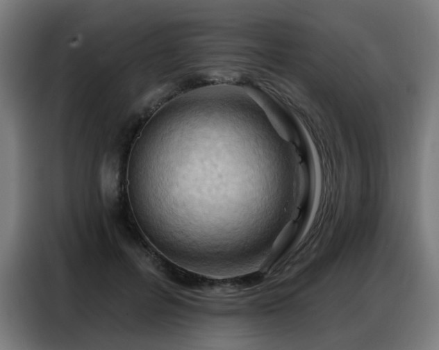 X0000088380600200705221055