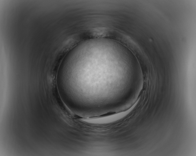 X0000088380601200705221055