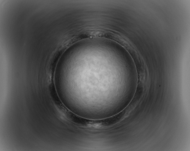 X0000088380602200705221055