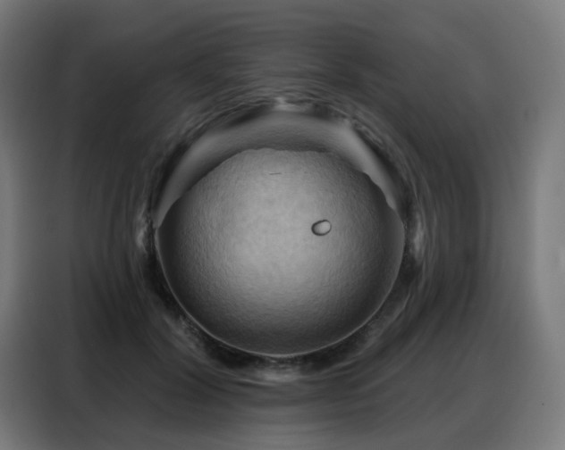 X0000088380604200705221055
