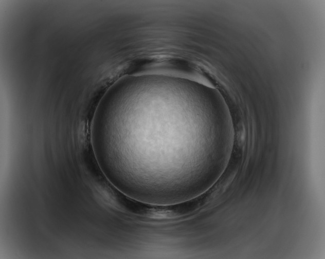 X0000088380605200705221055