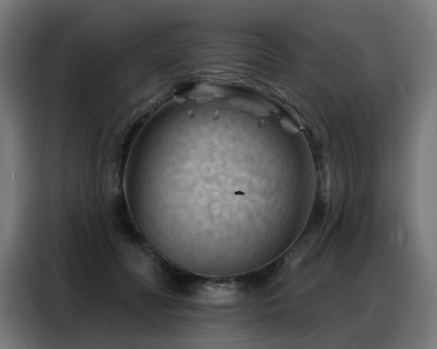 X0000088380606200705221055