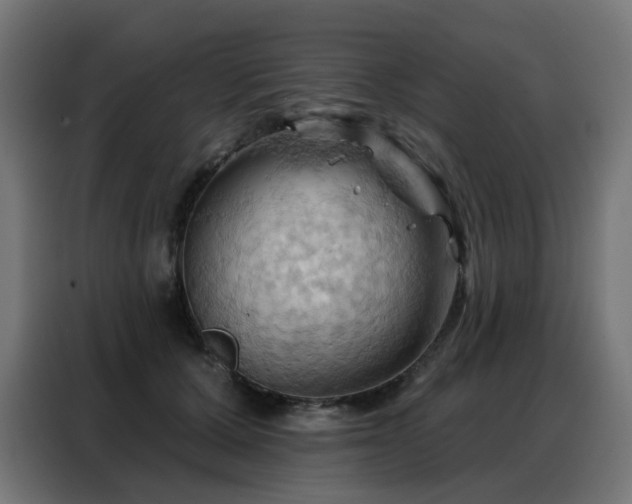X0000088380607200705221055