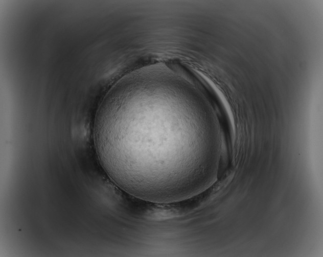 X0000088380608200705221055