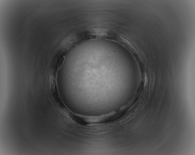 X0000088380609200705221055