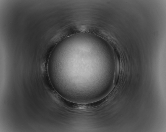 X0000088380611200705221055