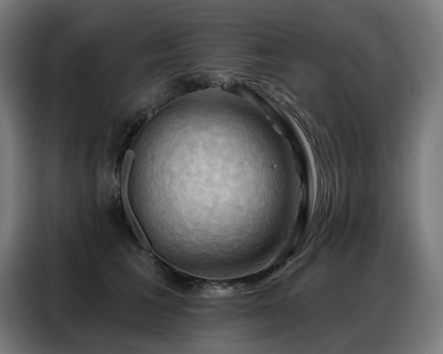 X0000088380613200705221055