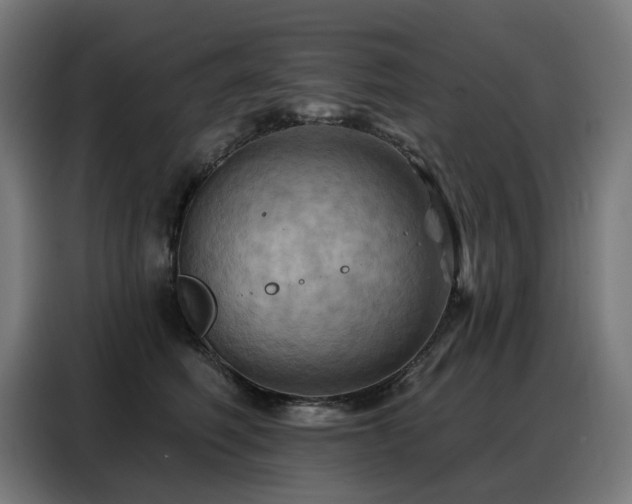 X0000088380614200705221055