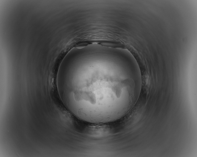 X0000088380615200705221055