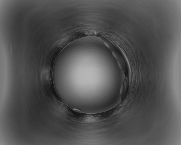 X0000088380616200705221055