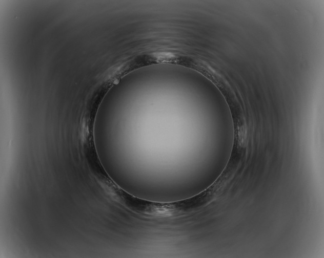 X0000088380618200705221055