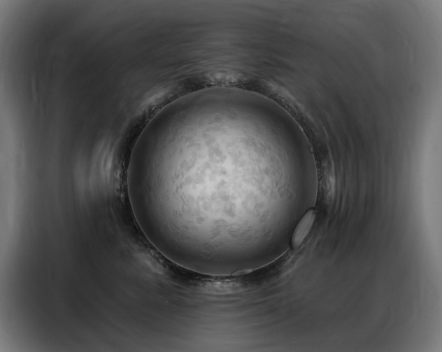 X0000088380619200705221055