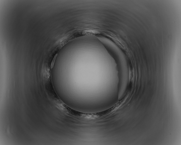 X0000088380621200705221055