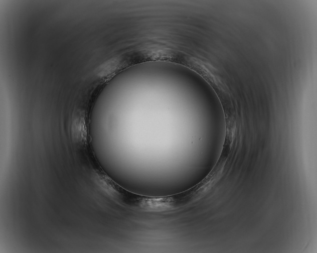 X0000088380622200705221055