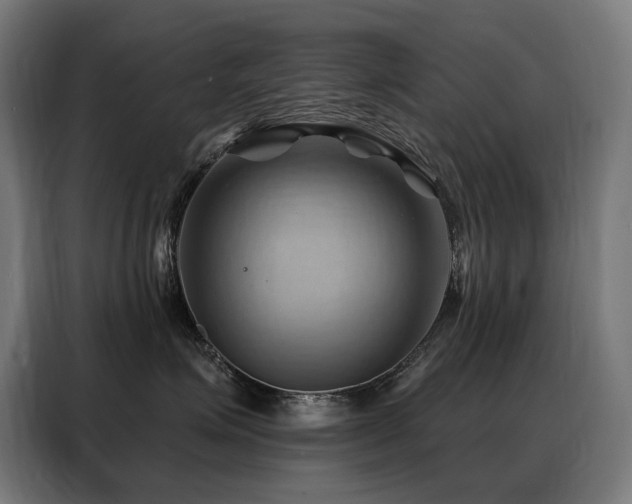 X0000088380623200705221055