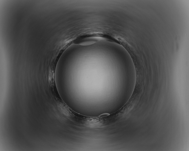 X0000088380624200705221055