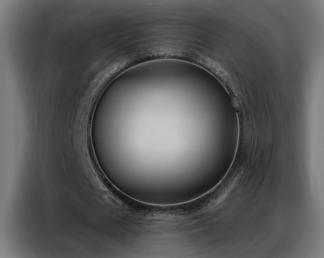 X0000088380625200705221054