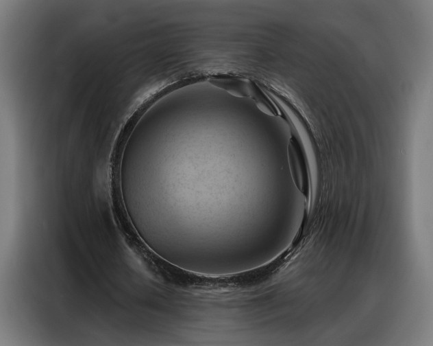 X0000088380626200705221054