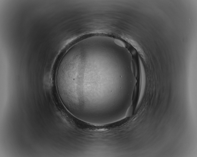 X0000088380628200705221054