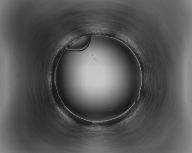 X0000088380629200705221054
