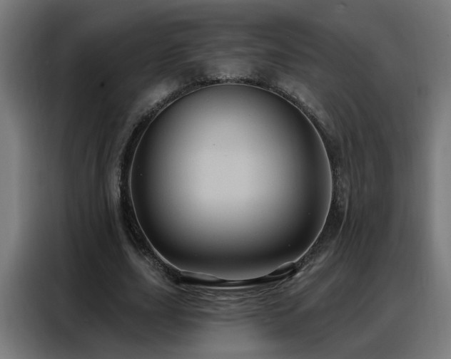 X0000088380631200705221054