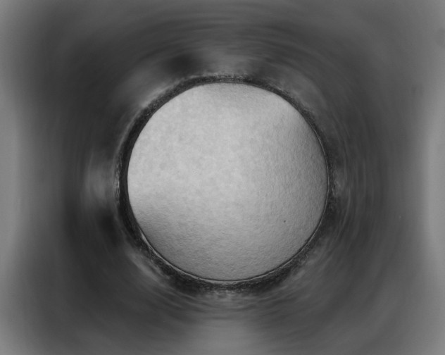 X0000088380632200705221054