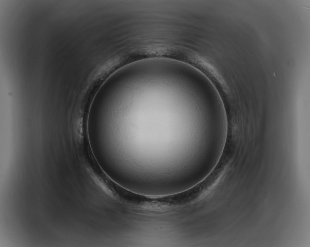 X0000088380633200705221054