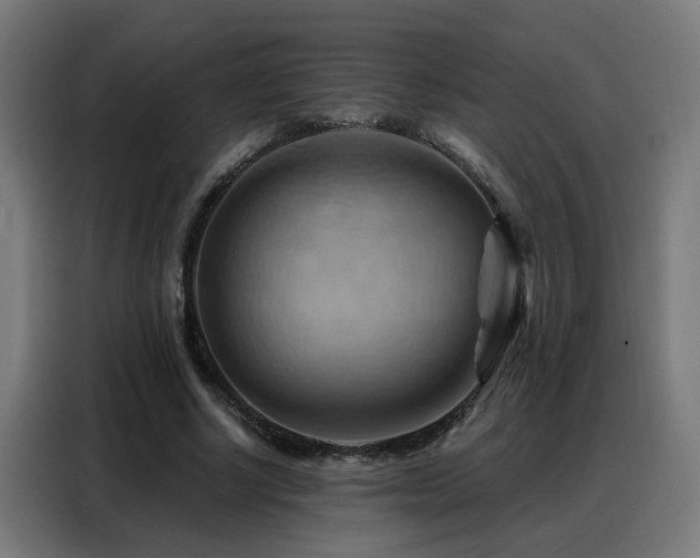 X0000088380634200705221054
