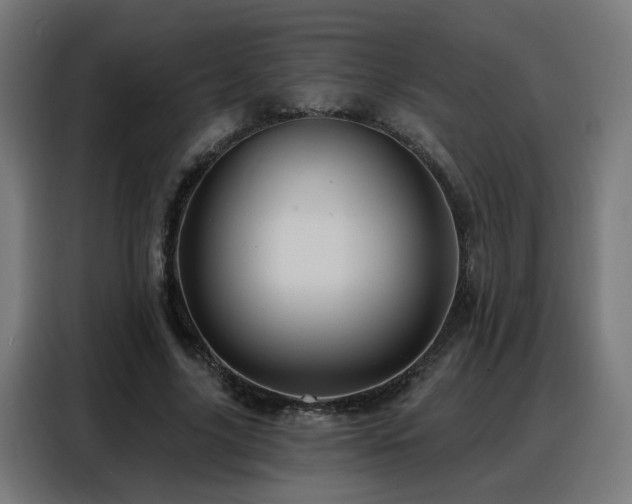 X0000088380635200705221054