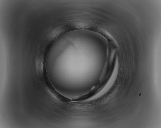 X0000088380637200705221054