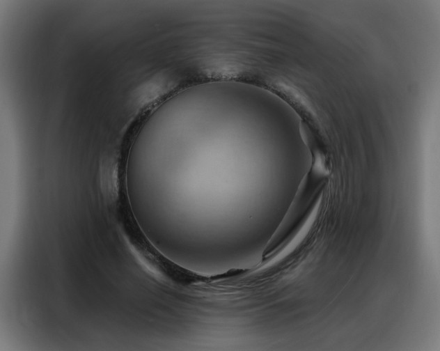 X0000088380638200705221054