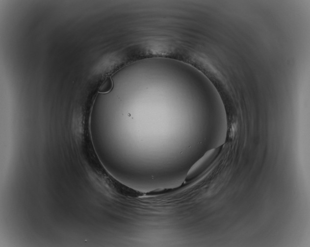 X0000088380639200705221054